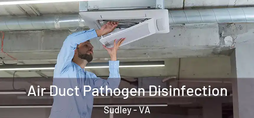  Air Duct Pathogen Disinfection Sudley - VA