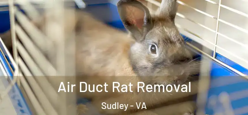  Air Duct Rat Removal Sudley - VA