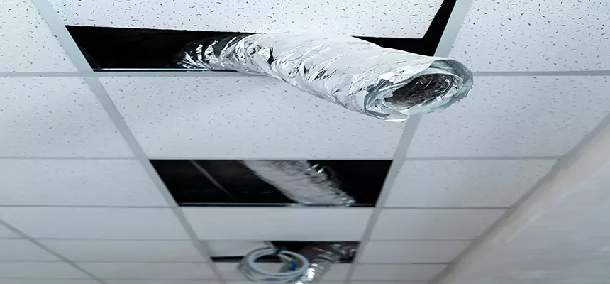 Affordable HVAC Sanitizing After Pest Removal in Sudley