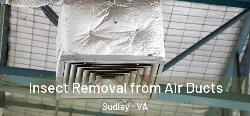  Insect Removal from Air Ducts Sudley - VA