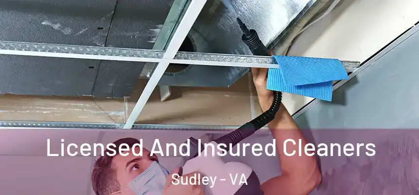  Licensed And Insured Cleaners Sudley - VA