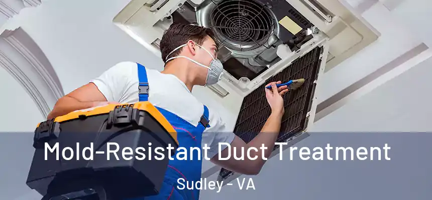 Mold-Resistant Duct Treatment Sudley - VA