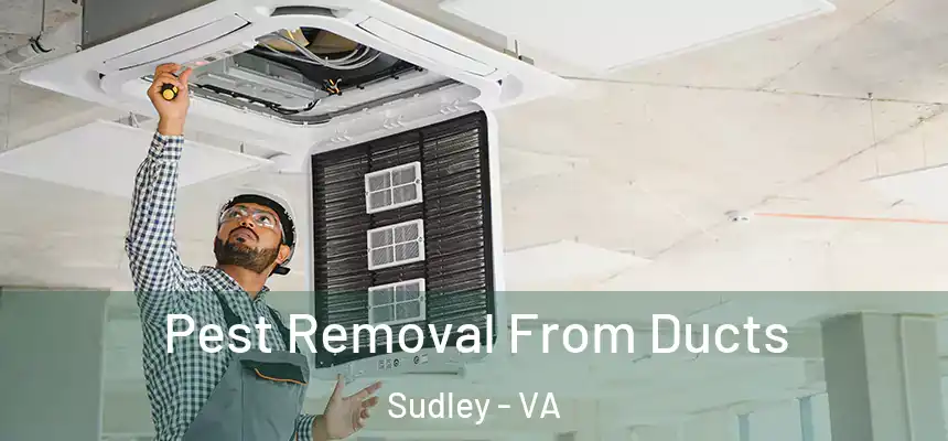  Pest Removal From Ducts Sudley - VA