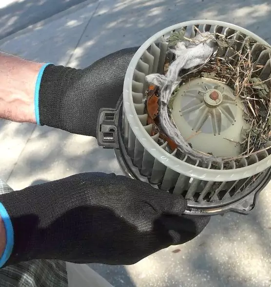 About Air Duct Rat Removal in Sudley, VA