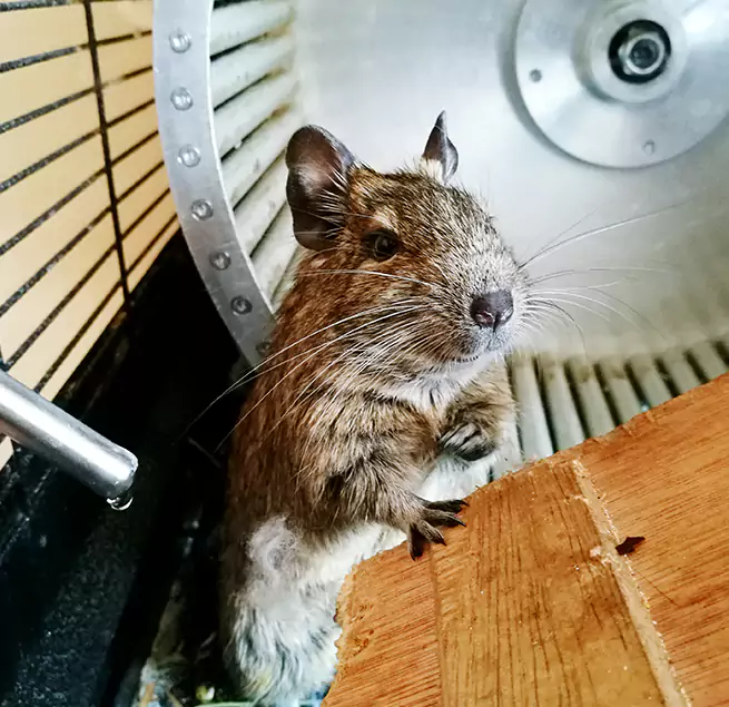 Why Homeowners & Businesses Trust Us Sudley, VA