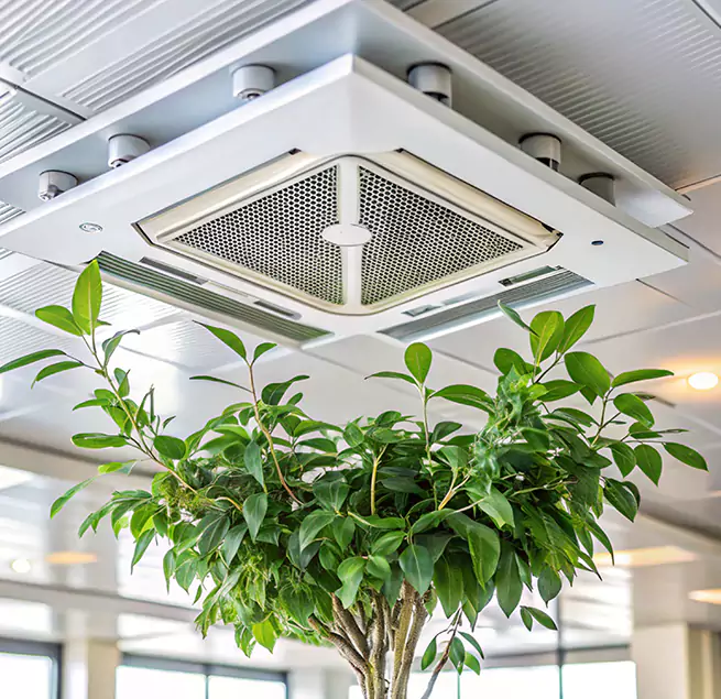 Why Homeowners & Businesses Trust Us in Sudley, VA?